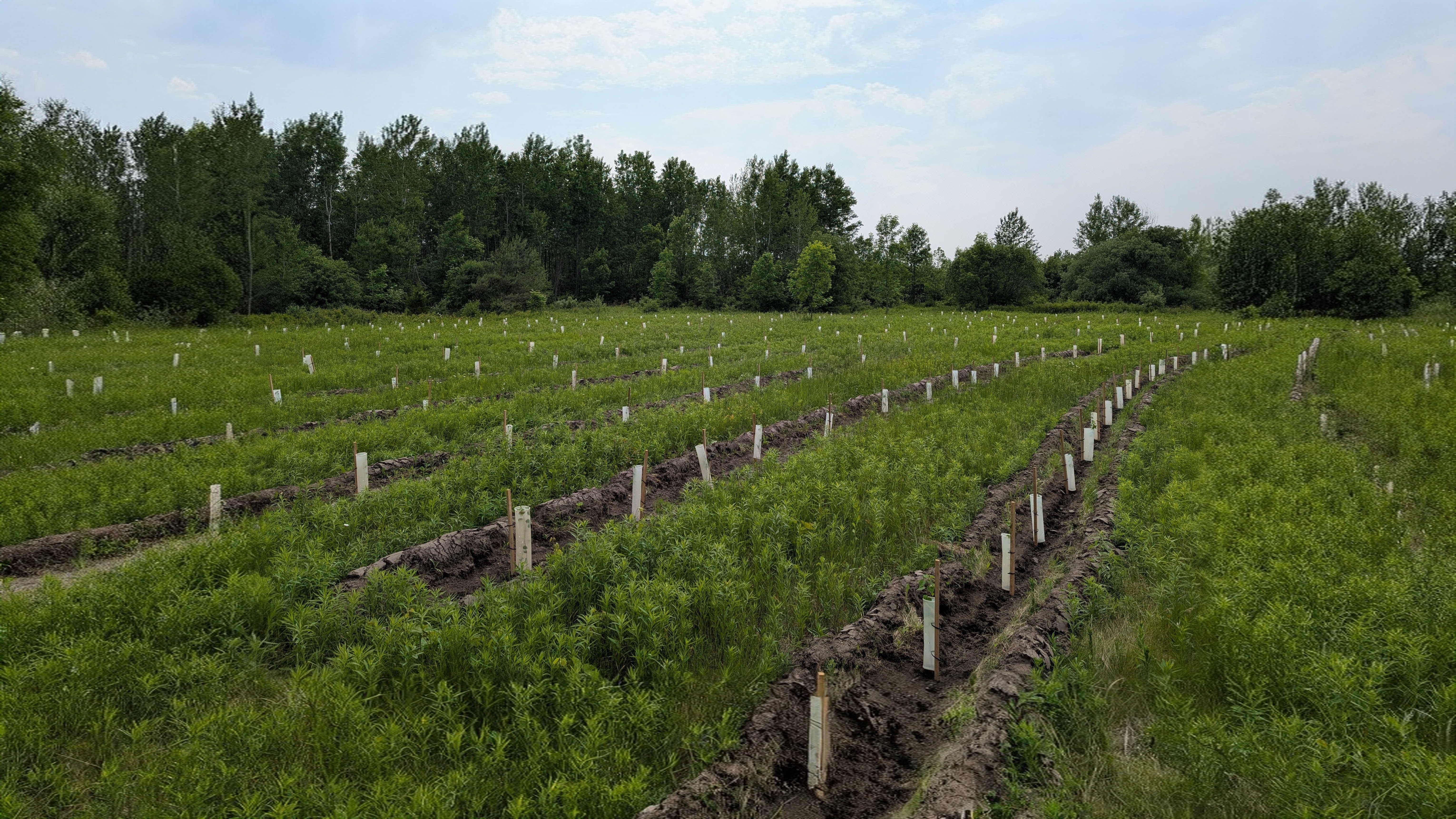 Environmental Banner